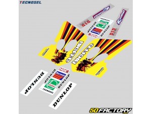 Kit D Co Suzuki Rm Tecnosel Team Pi Ce