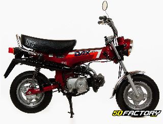 1990 SH 50 SCOOTER Honda motorcycle # HONDA Motorcycles & ATVS