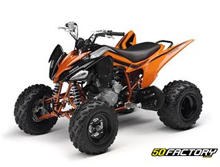 Yfm 250 Raptor Yamaha Quad ATV