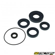 Kit de sello spi Mbk Booster, Nitro, Ovetto ...