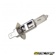 Headlight bulb H1 12V 55W