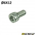 M6x12mm BTR head screw