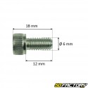 M6x12mm BTR head screw