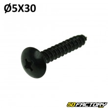 5x30 mm parker screw Phillips head (per unit)