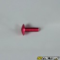 Pack XNUMX XNUMXxXNUMXmm screw red tuning