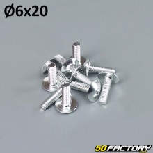 6x20 mm silver gray tuning screws (set of 10)