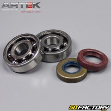 Crankshaft bearings and seals AM6 minarelli Artek  C3