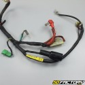 Chicote de fios completo de Honda NSR 125 (1994 - 2002)