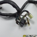 Honda completo arnés de cableado NSR  XNUMX (XNUMX - XNUMX)