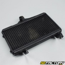 Radiateur Honda NSR 125 (1994 - 2002)