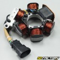 Zündstator
 Aprilia, Derbi , Italjet, Piaggio et Vespa 50