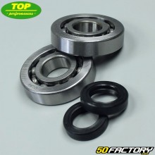 Crankshaft bearings and seals Piaggio Zip, Typhoon, Stalker ...