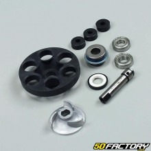 Water pump kit Aprilia Sr50, Italjet Formula 50, Suzuki Katana AY  et  Zillion  50