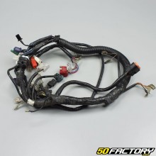 Arnés eléctrico Yamaha YBR 125 2004 - 2009