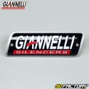 Carbon Auspuff Schalldämpfer Giannelli Street Derbi GPR et Aprilia RS