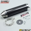 Carbon Auspuff Schalldämpfer Giannelli Street Aprilia RS4 et Derbi Gpr  ab XNUMX