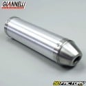 Silenciador de escape de aluminio Giannelli Street Aprilia RS4  et  Derbi Gpr desde 2011