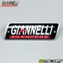 Silenciador de escape de aluminio Giannelli Street Aprilia RS4  et  Derbi Gpr desde 2011