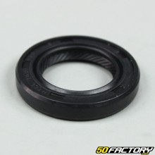 Stator stator seal TNT Motor City,  Skyteam Dax 50 and 125 4T