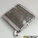 Radiator Peugeot XP7  et  Mash MH10