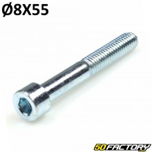 Tornillo de 8x55 mm cabeza BTR (por unidad)