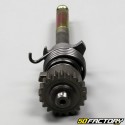 Complete kick axle 139FMB-B Mash,  Masai, Orion, Archive... 50 4T