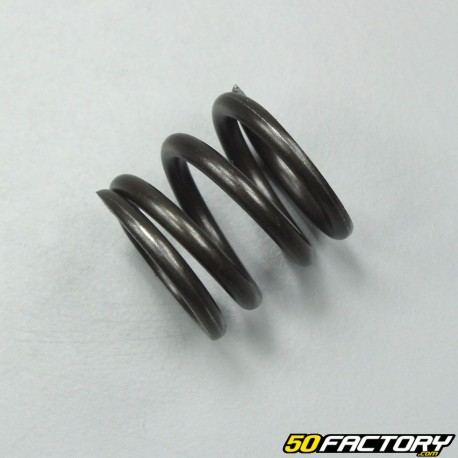 Dip tube spring Yamaha 125 Virago from 1996 to 2003