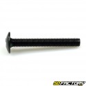 M6x45mm screw BTR domed head (per unit)