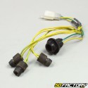 Rear light wiring Derbi GPR  et  Aprilia RS 50 (2004 - 2010)