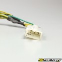 Rear light wiring Derbi GPR  et  Aprilia RS 50 (2004 - 2010)