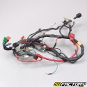 Electrical harness Kymco Pulsar 125 (2008 - 2014)