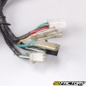 Electrical harness Kymco Pulsar 125 (2008 - 2014)