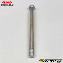 Swingarm shaft Rieju RS3