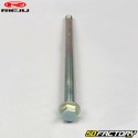 Swingarm shaft Rieju RS3