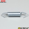 Muffler spring Rieju RS3