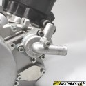 Moteur Derbi E2 Ducati à kick reconditionné à neuf