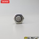 Asse ruota posteriore Aprilia RS4,  RS et  Derbi GPR (Dal 2011)