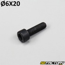 Screw 6x20mm head BTR black (individually)