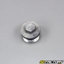 Honda CLR Fork Tube Cap 125 (1998 - 2003)