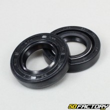 Derbi crankshaft seals