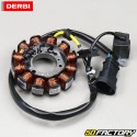 Ignition stator Derbi Euro 4