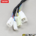 Electrical harness Derbi Senda,  Gilera SMT,  RCR,  Aprilia RX 50, SX 50 (from 2018)