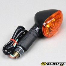 Orange Blinker mit Glühlampe (vorne links / rechts hinten)