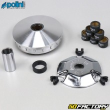 Variador - Regulador de intensidad Aprilia SR  ditech, Suzuki Katana  XNUMX XNUMXT Polini