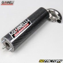 Silenciador scooter 50 2T Giannelli Extra Carbono