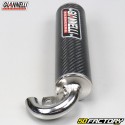 50 2T scooter muffler Giannelli Extra Carbon