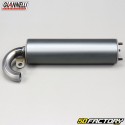 XNUMX XNUMXT silenciador scooter Giannelli  Aluminio VXNUMX Extra