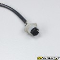 Hyosung Karion 125 Plate Light Wiring (2008 to 2012)