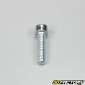 M5x20mm BTR head screw