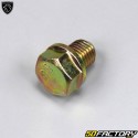 Drain plug Peugeot Tweet, Vivacity  XNUMX ... XNUMX XNUMXT